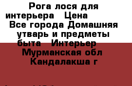 Рога лося для интерьера › Цена ­ 3 300 - Все города Домашняя утварь и предметы быта » Интерьер   . Мурманская обл.,Кандалакша г.